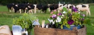 Meer over koken met streekproducten